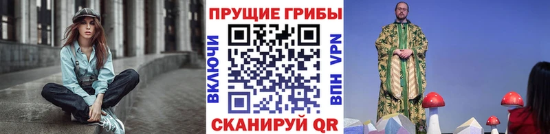 Псилоцибиновые грибы Psilocybe  сколько стоит  Олонец 